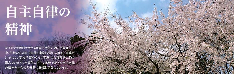 九州麻将下载网页版